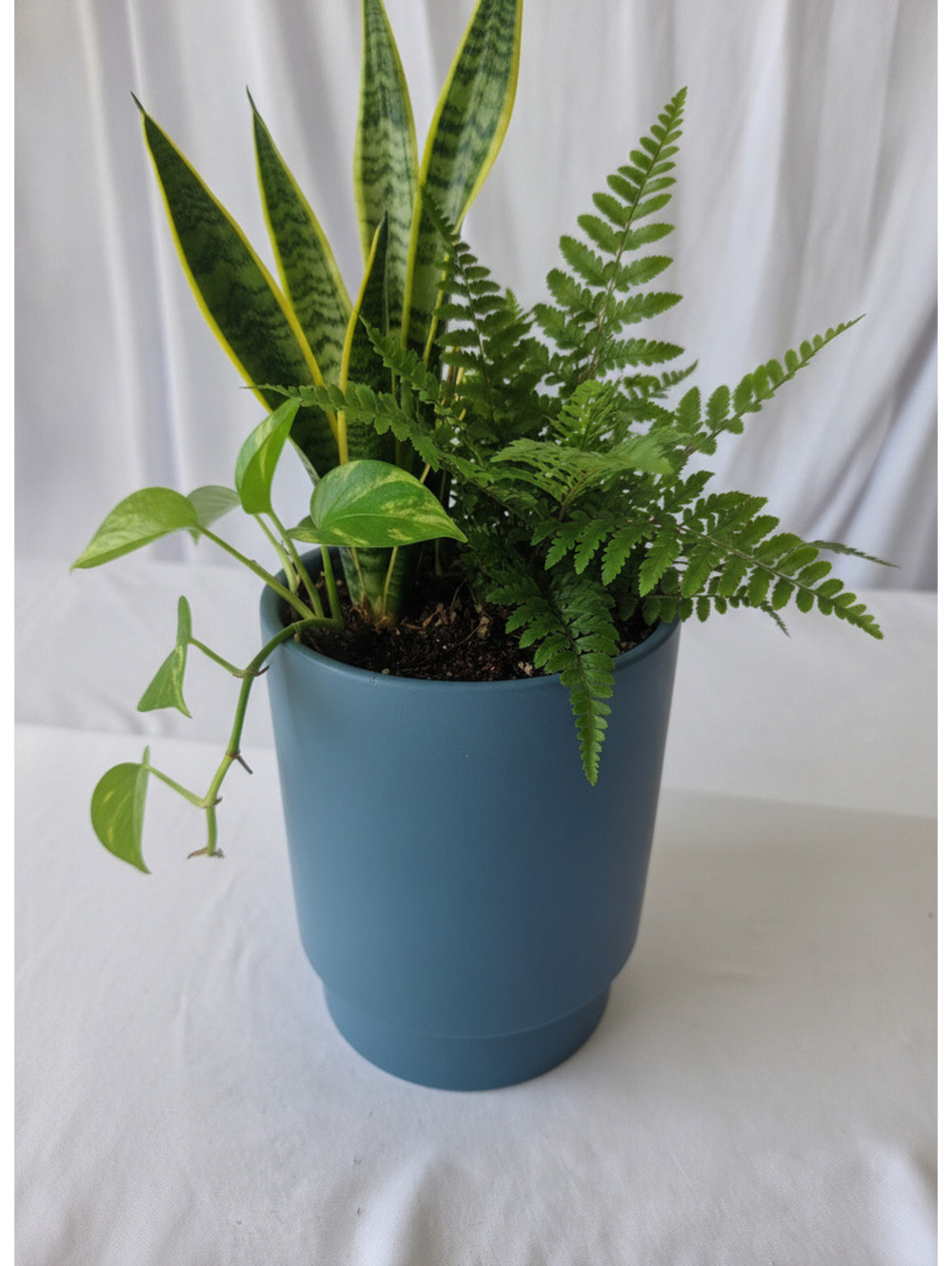 Modern Blue Ceramic Plant Pot with Drainage Feet